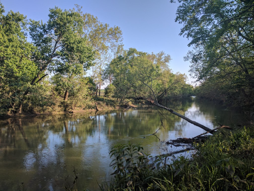 Englewood Metropark River Access Image