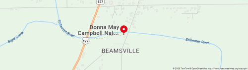 Donna May Image