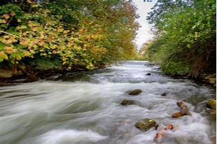 river road Image